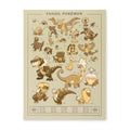 Pokémon Researcher: Fossil Pokémon Poster
